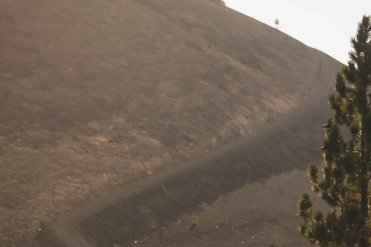 Średni koszt zapytania w 2024 roku